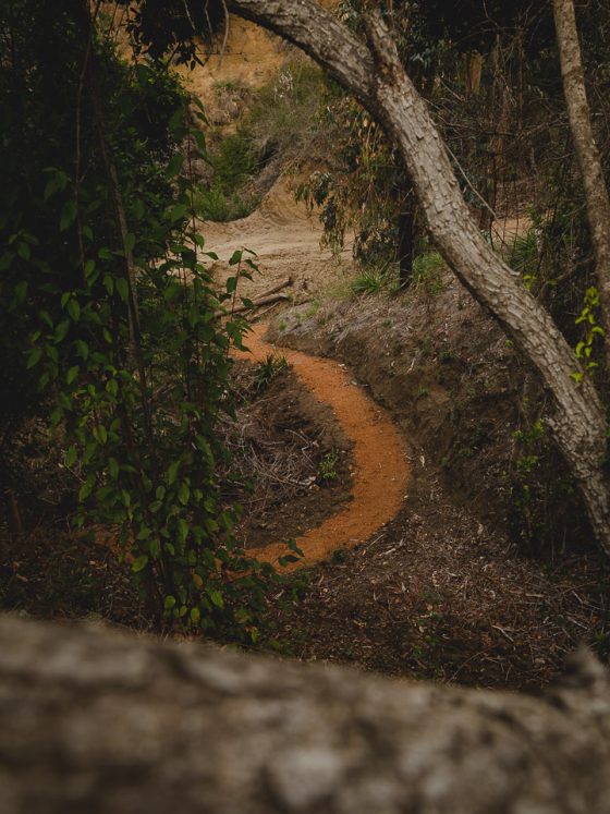 Todos los senderos fueron cubiertos con maicillo