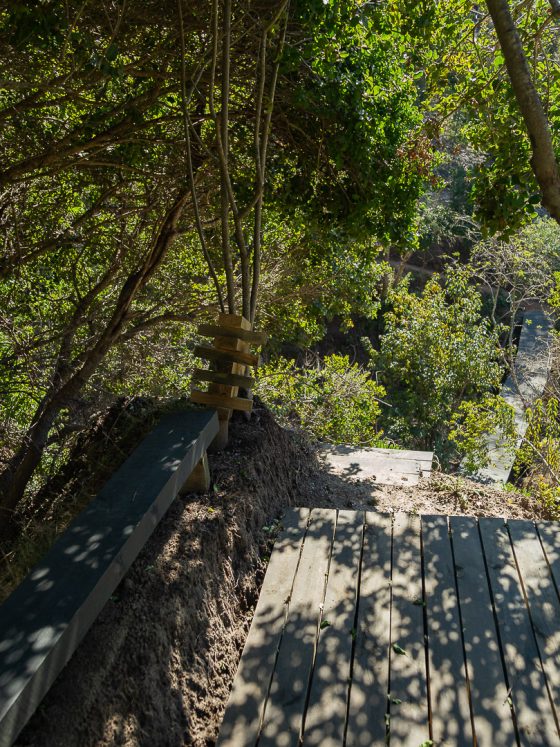 Mirador de aves en el centro del parque