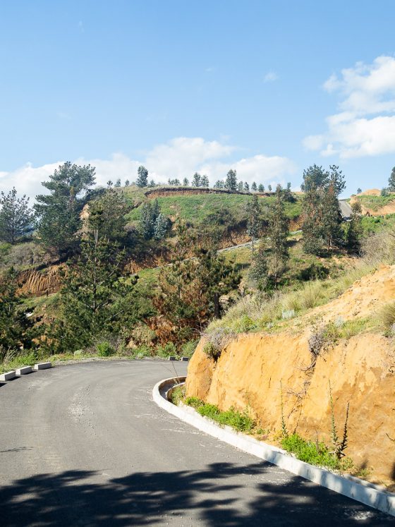 Calles interiores con asfalto y soleras.