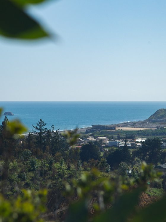 Vista a Playa Pupuya